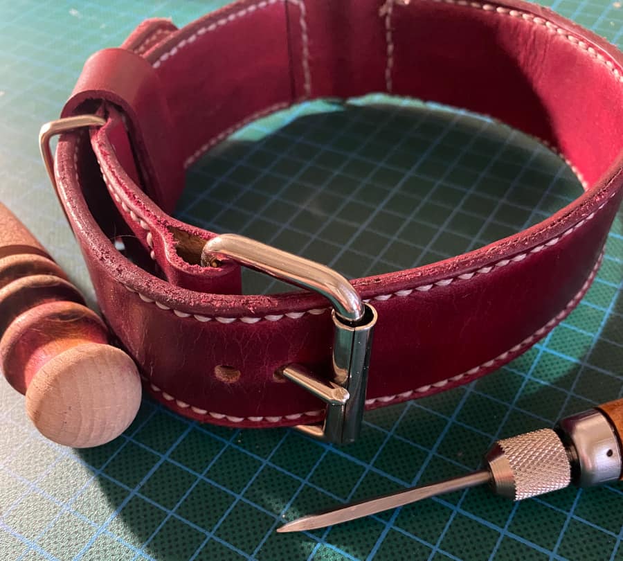 Beta Ray , handmade leather dog collar 