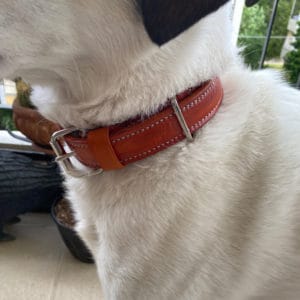 handmade leather dog leashes
