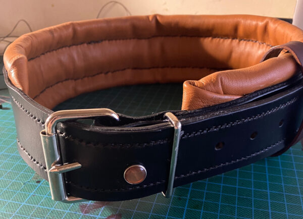 Titan , handmade luxury leather dog collar | Leather for Pets