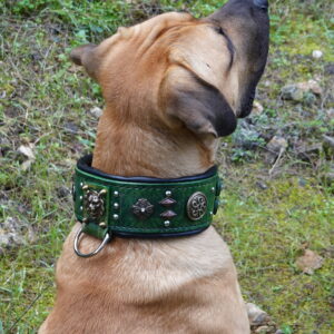 handmade dog collars