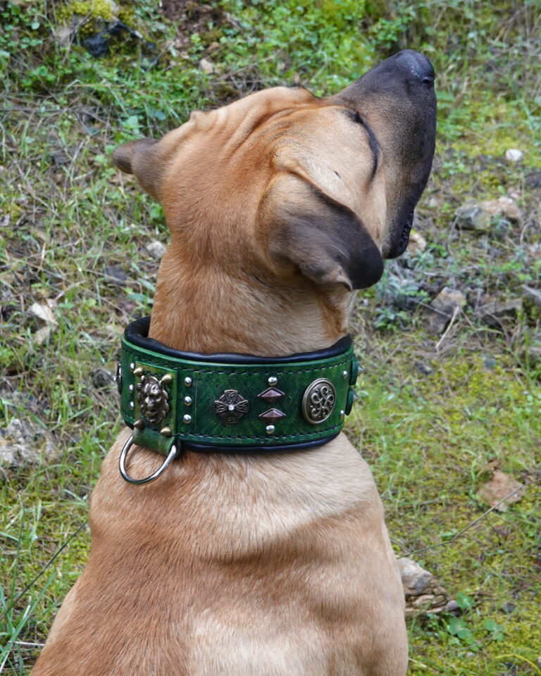 Tantalum mastiff dog collar handmade