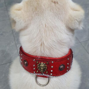 dog collars handmade
