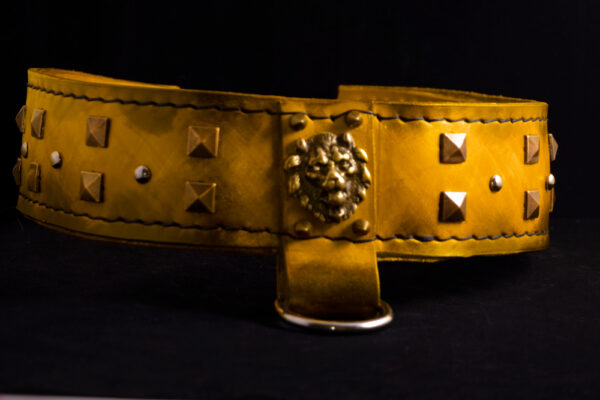 yellow dog collar handmade