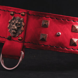 red dog handmade collar