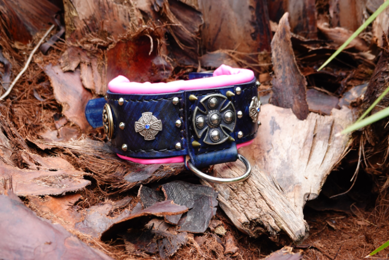 American Bully collar Leather for Pets