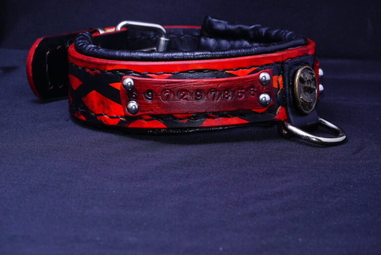 Jack Russell collar Leather for Pets