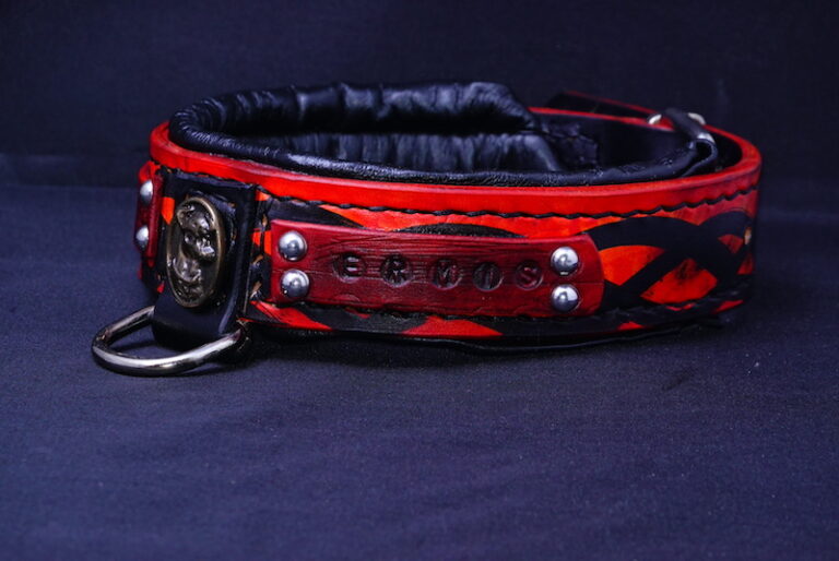 Jack Russell collar Leather for Pets