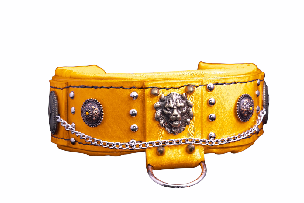 Crimpson , Yellow Gold leather dog collar handmade