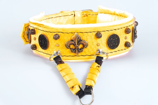 Dog collars handmade