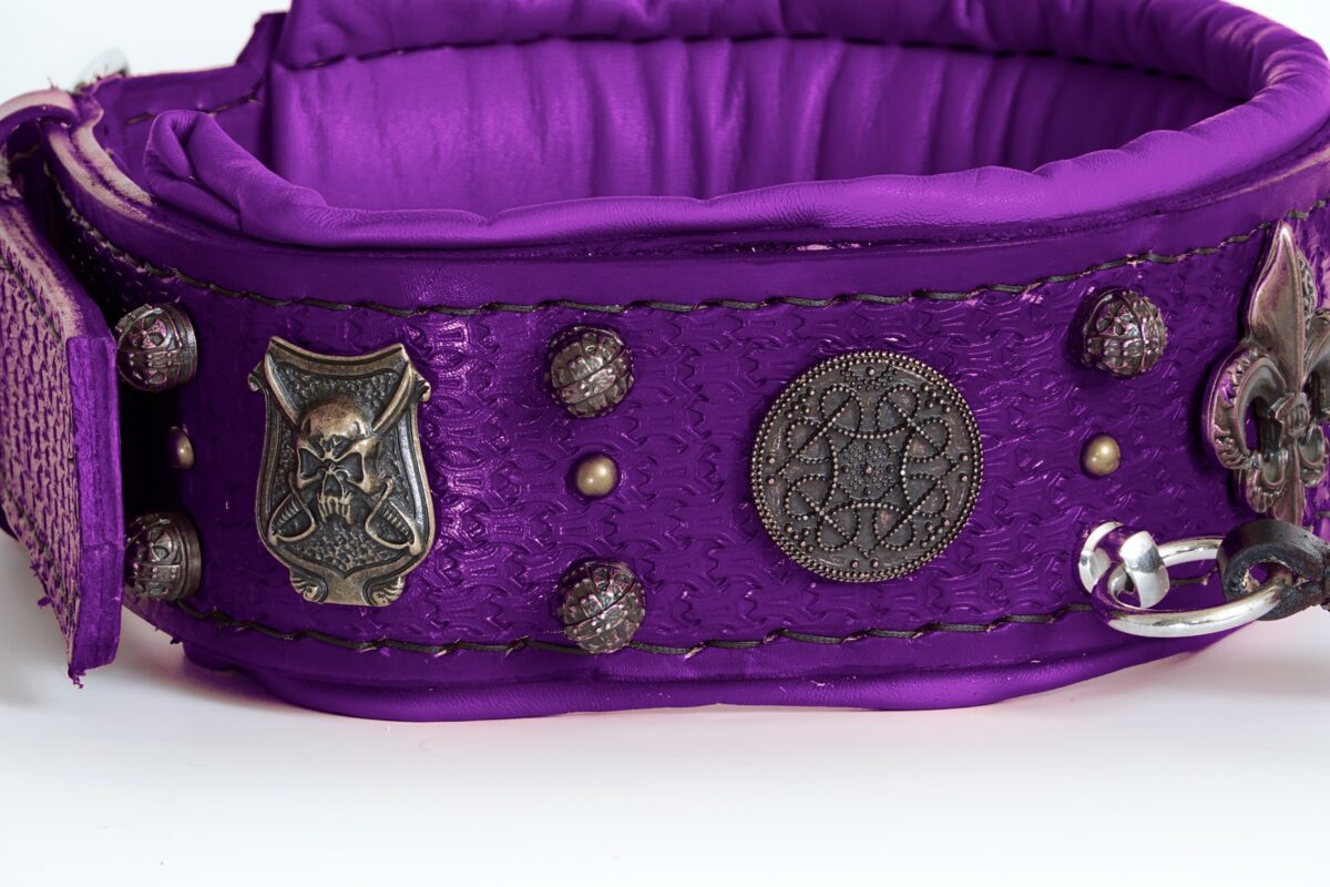 Medieval leather dog collar , Boerboel collar , cane corso collar