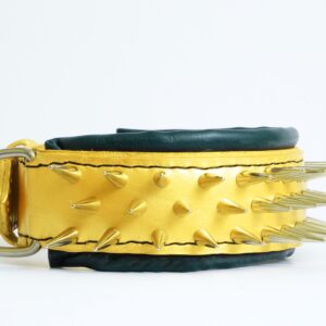 dog collar with spikes