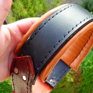 martingale leather dog collar