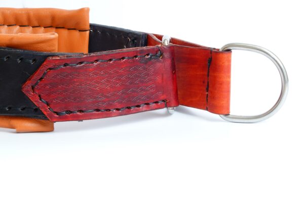 martingale leather collar