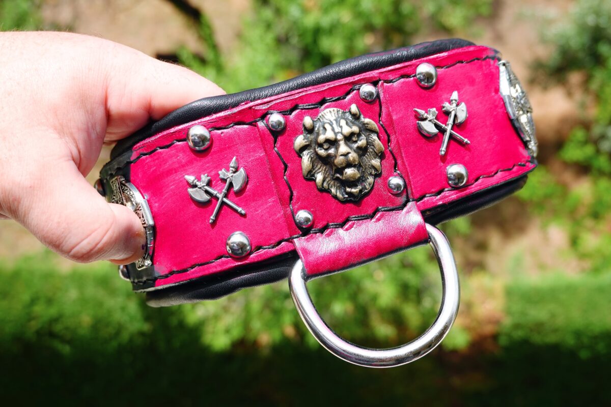 leatherforpets