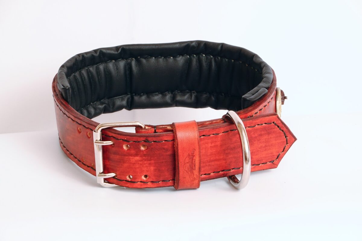 leatherforpets