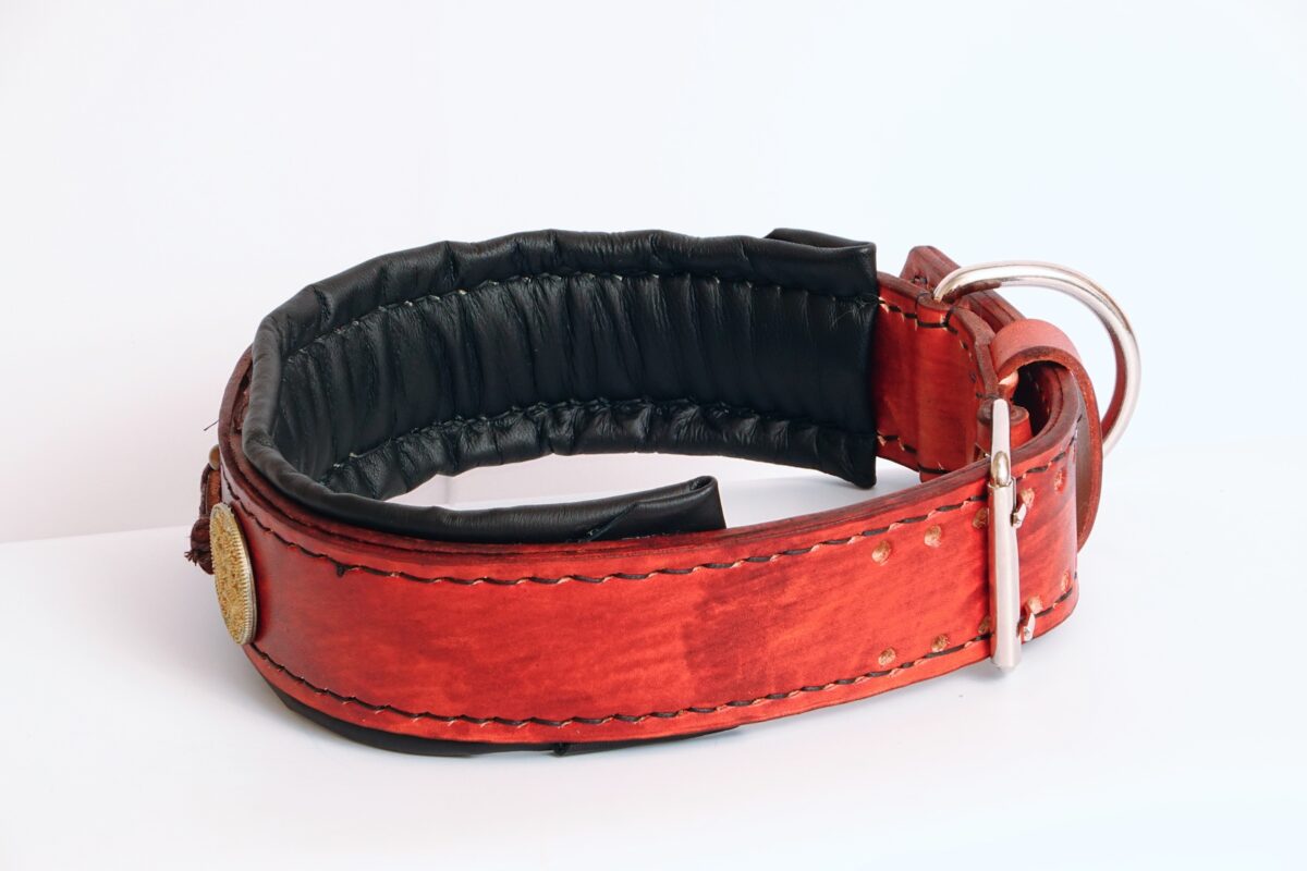 leatherforpets