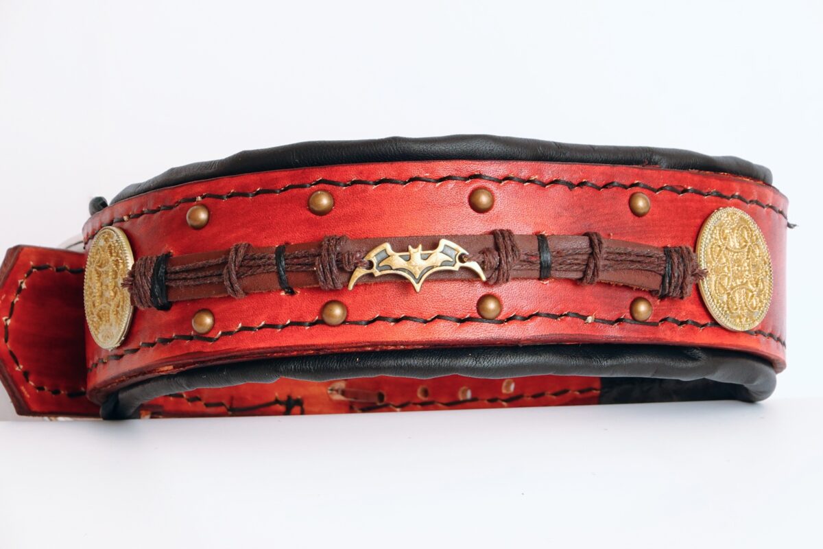leatherforpets