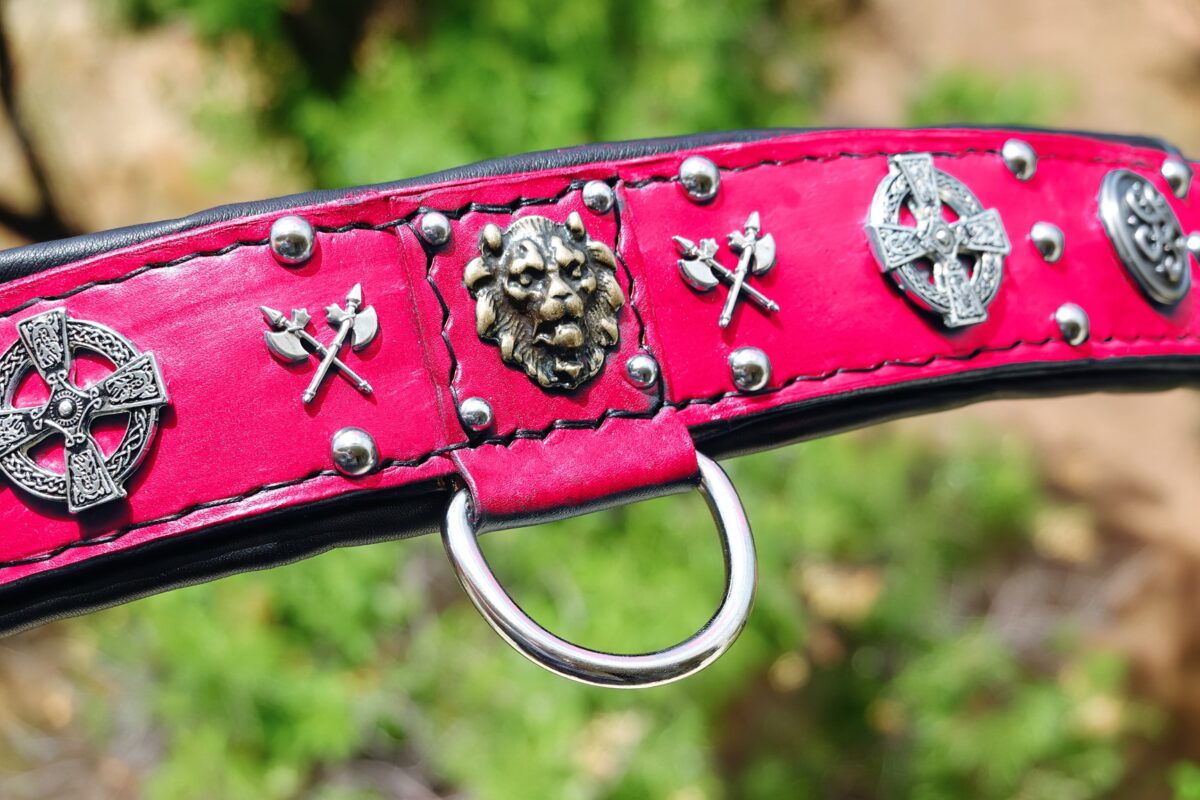 leatherforpets