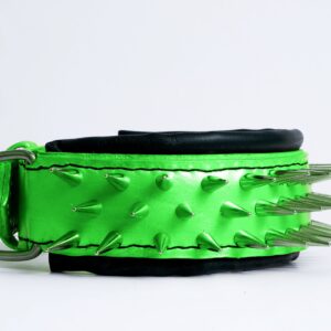 dog collar with spikes