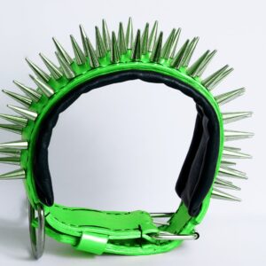 neon green dog collar