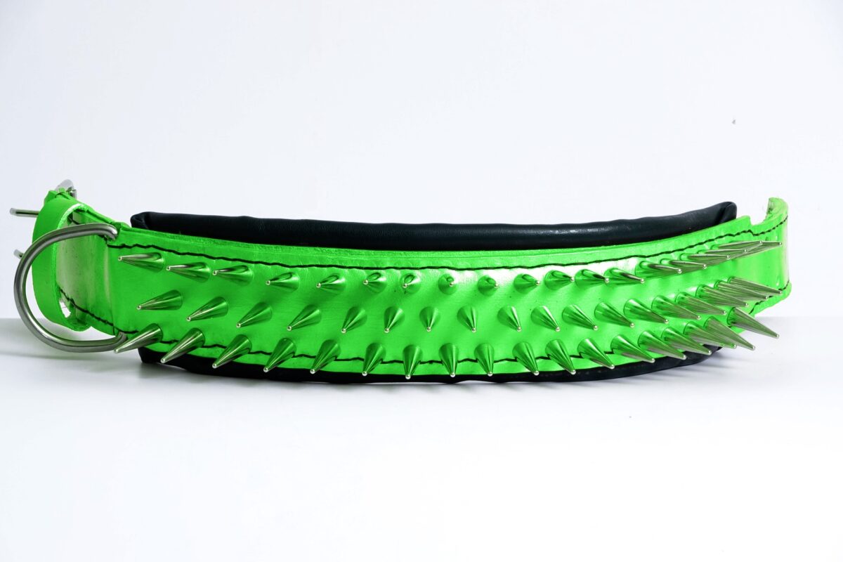 Dog collar with Spikes , Bulldog Collar , American Pitbull Collar Leather for Pets