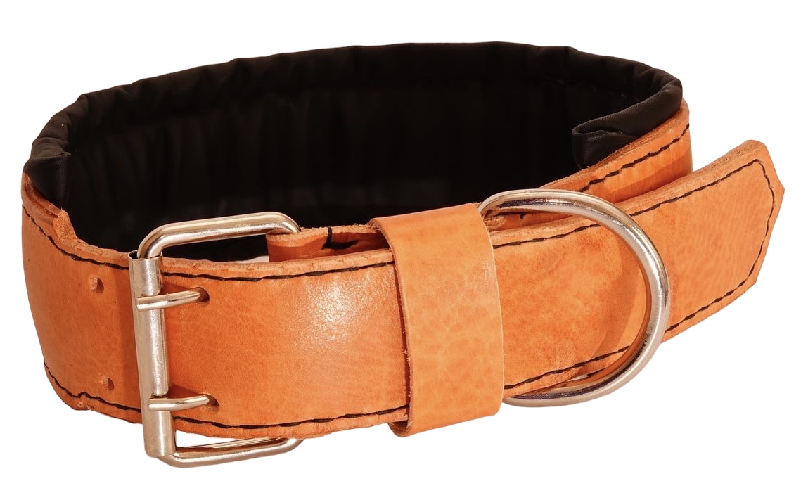Cretan Vachetta leather dog collar , Full Grain Veg tan leather