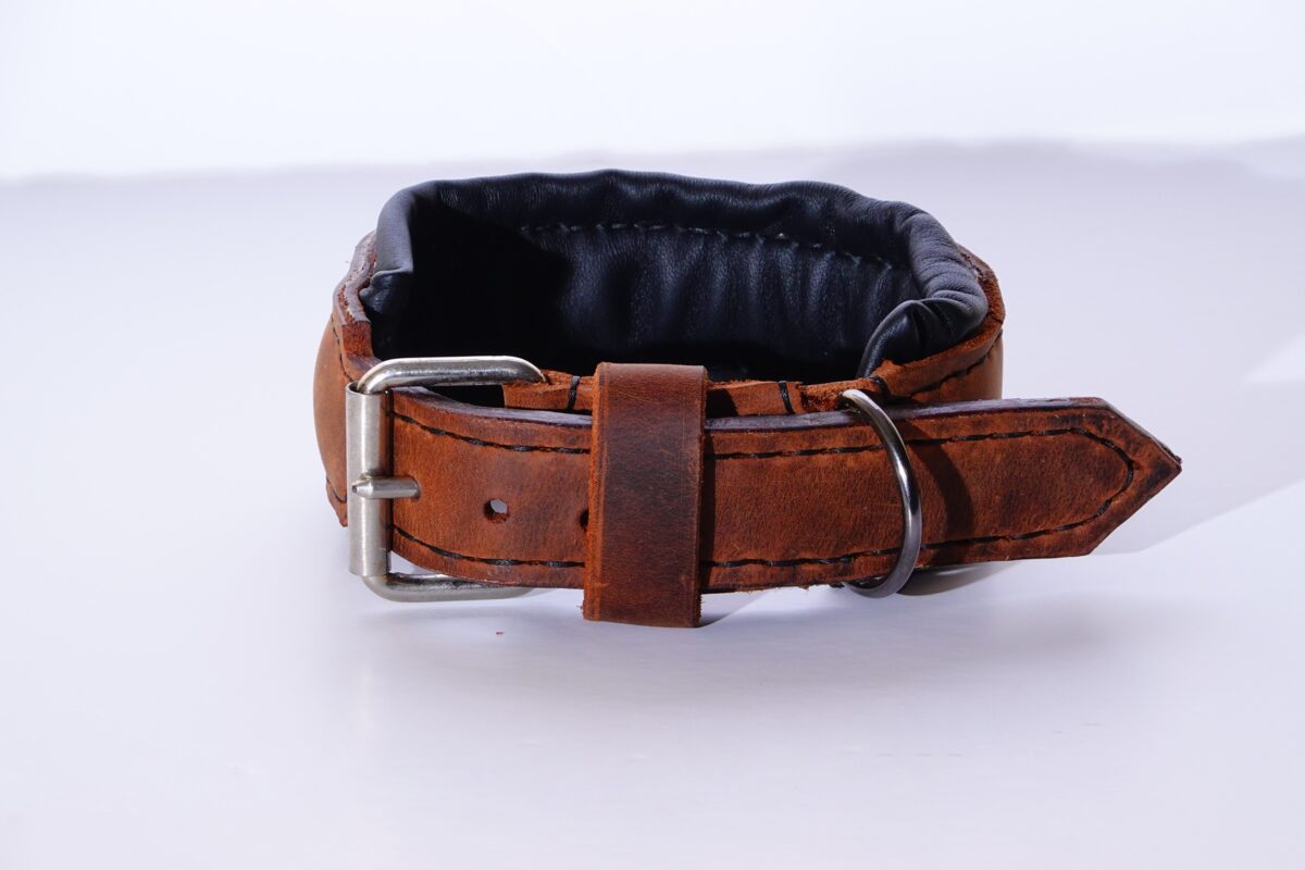 Small Dogs leather dog collar , Crazy horse leather dog collar
