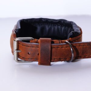 leather dog collar for small dog
