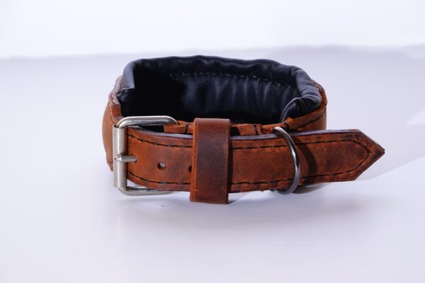 leather dog collar for small dog