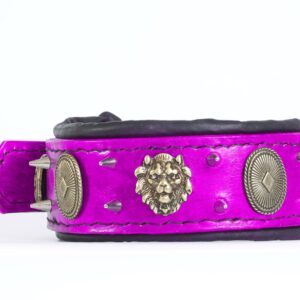 neon purple dog collar