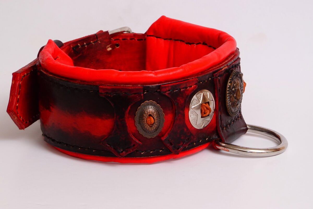 Red and Black American Pitbull and Bully Collar, Stars and Conchos