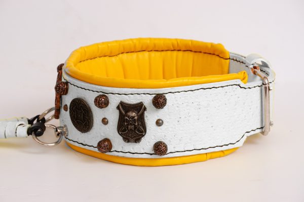 wide dog collar