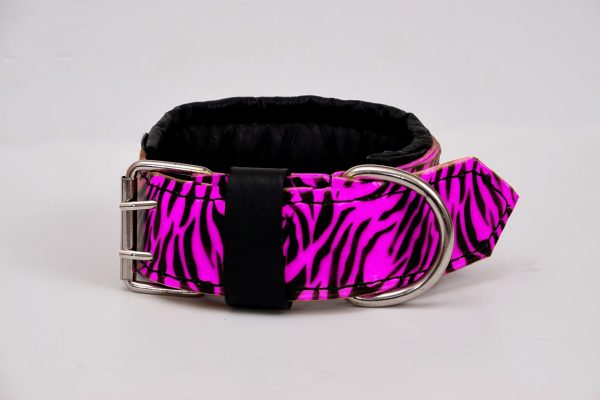 zebra dog collar