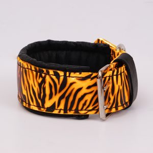 tiger dog collar