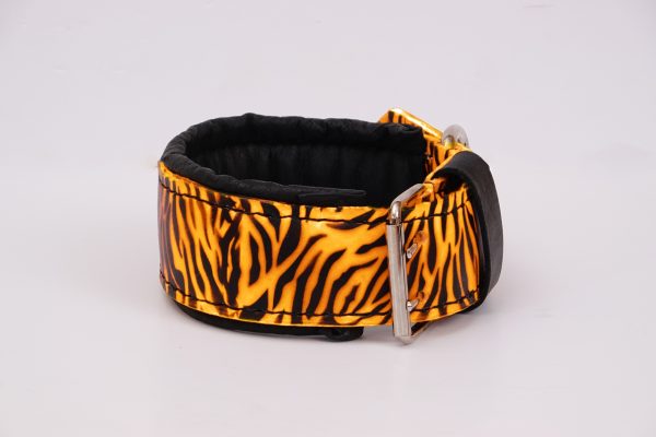 tiger dog collar