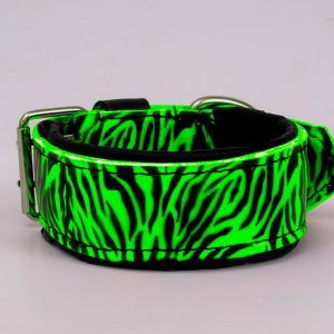 dog collar neon green
