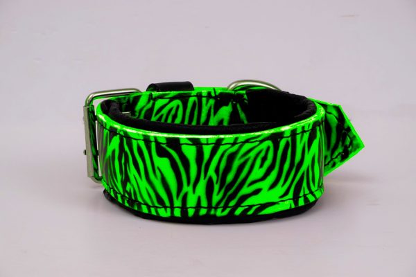 dog collar neon green