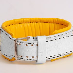 mastiff collar