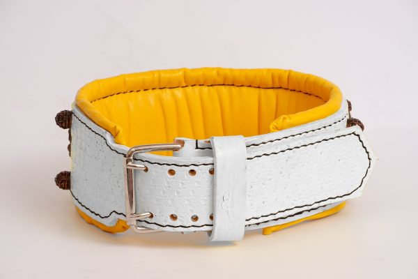 mastiff collar