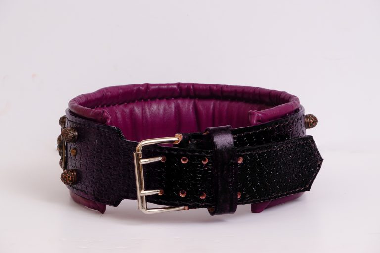 Leather Dog Collar for big Mastiffs Leather for Pets