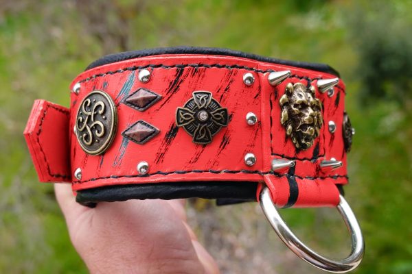 Infrared Leather Dog Collar