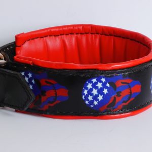 american flag dog collar
