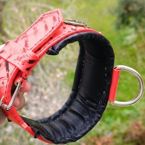 Infrared Leather Dog Collar