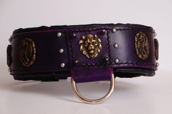 purple dog collar