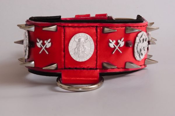 dog collar viking