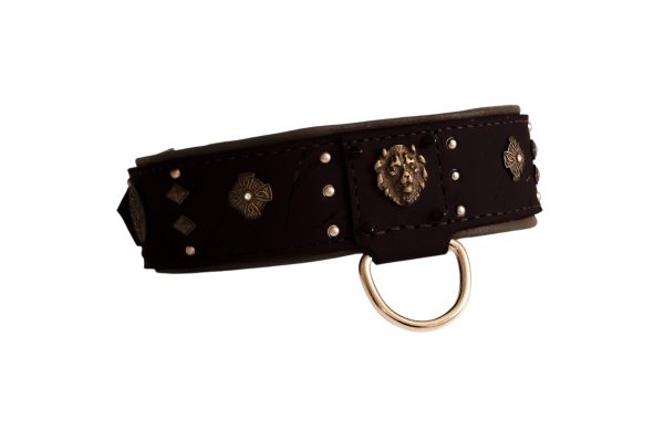 BoerBoel Collar, Cane Corso Collar, Presa Canario Collar, Mastiff Collar - Image 3