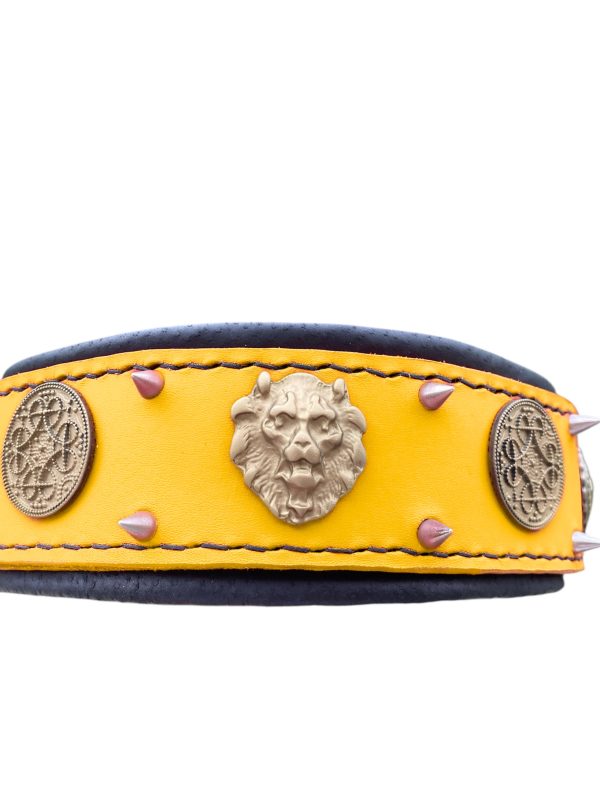 Yellow Leather Dog Collar Spiked with Celtic Conchos, Cane Corso Collar