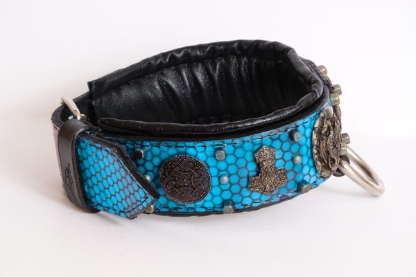 Viking Odin leather dog collar light blue honeycomb - Image 4