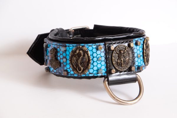 Viking Odin leather dog collar light blue honeycomb - Image 3