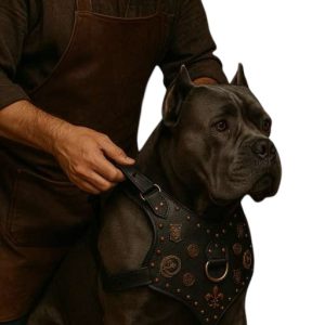 Dog Harnesses & Leads